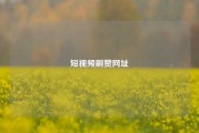短视频刷赞网址