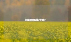短视频刷赞网址