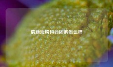 清新淡粉抖音团购怎么样