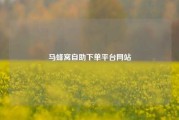 马蜂窝自助下单平台网站