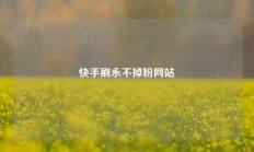 快手刷永不掉粉网站
