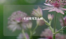 卡拉赞龙怎么刷