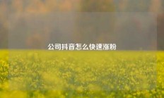 公司抖音怎么快速涨粉