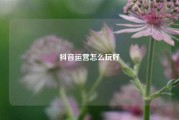 抖音运营怎么玩好