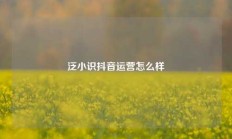 泛小识抖音运营怎么样