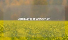 高级抖音直播运营怎么做
