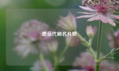 蘑菇代刷名片赞