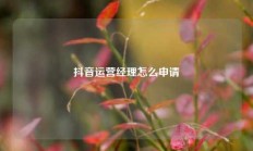 抖音运营经理怎么申请
