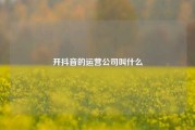 开抖音的运营公司叫什么