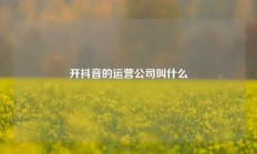 开抖音的运营公司叫什么