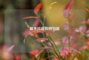 丽水抖音如何引流