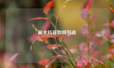 丽水抖音如何引流
