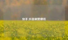 快手 抖音刷赞赚钱