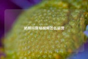 泌阳抖音短视频怎么运营