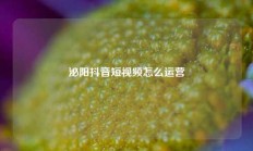 泌阳抖音短视频怎么运营