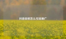 抖音自拍怎么引流推广