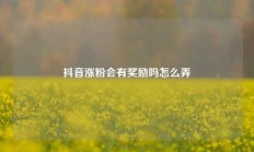 抖音涨粉会有奖励吗怎么弄