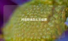 抖音应该怎么去运营