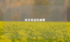 快手务业区刷赞
