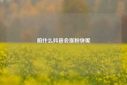 拍什么抖音会涨粉快呢
