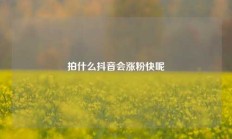 拍什么抖音会涨粉快呢