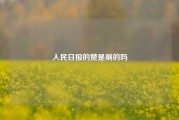 人民日报的赞是刷的吗