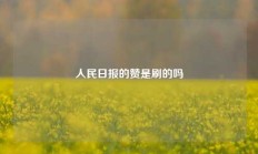 人民日报的赞是刷的吗