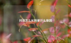 抖音怎么长粉是什么原因