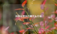 抖音运营五行属什么行业