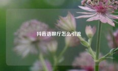 抖音语聊厅怎么引流