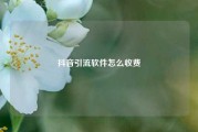 抖音引流软件怎么收费