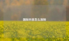 国际抖音怎么涨粉