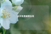 快手免费刷赞在线