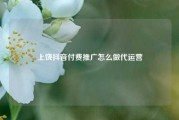 上饶抖音付费推广怎么做代运营