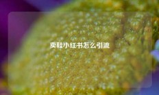 卖鞋小红书怎么引流