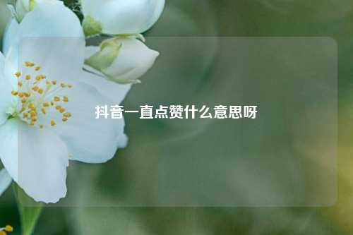 抖音一直点赞什么意思呀