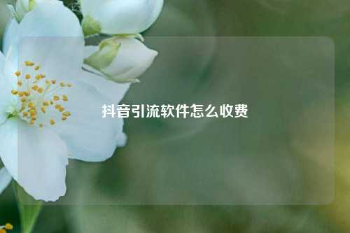 抖音引流软件怎么收费
