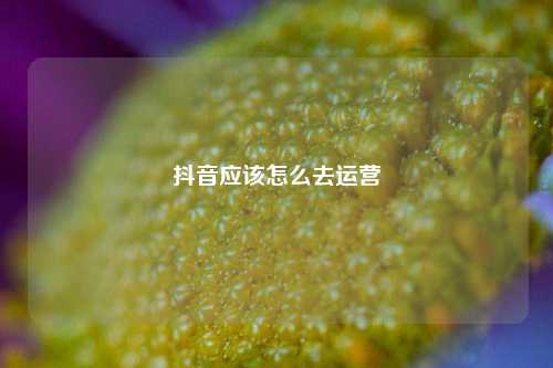 抖音应该怎么去运营