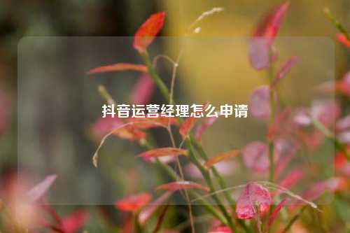 抖音运营经理怎么申请