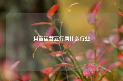 抖音运营五行属什么行业