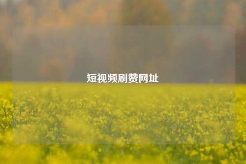短视频刷赞网址