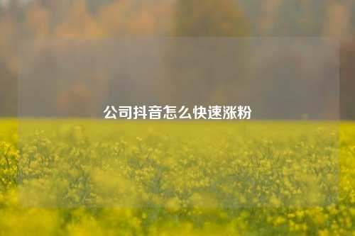 公司抖音怎么快速涨粉