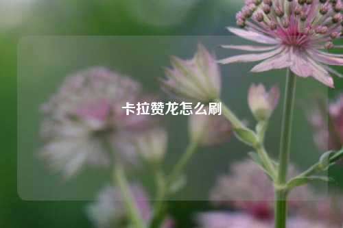卡拉赞龙怎么刷