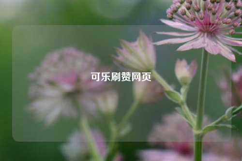 可乐刷赞网页