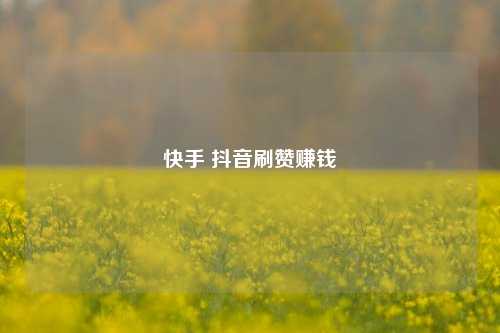 快手 抖音刷赞赚钱