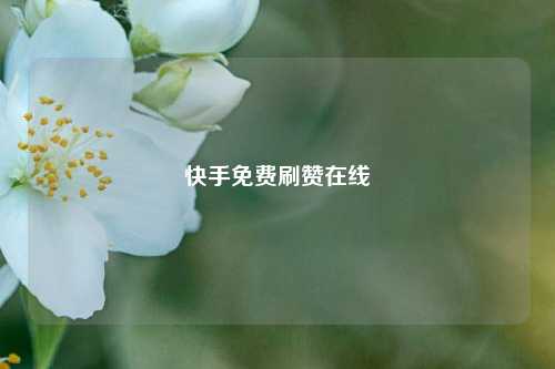 快手免费刷赞在线