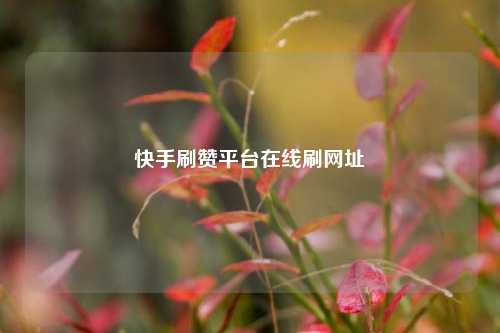 快手刷赞平台在线刷网址