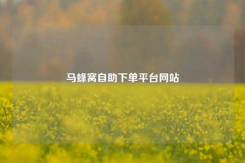 马蜂窝自助下单平台网站