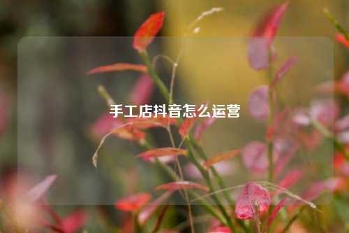 手工店抖音怎么运营