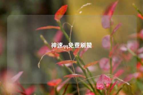 神速qq免费刷赞